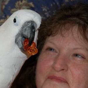 Meet your Posher, Candace